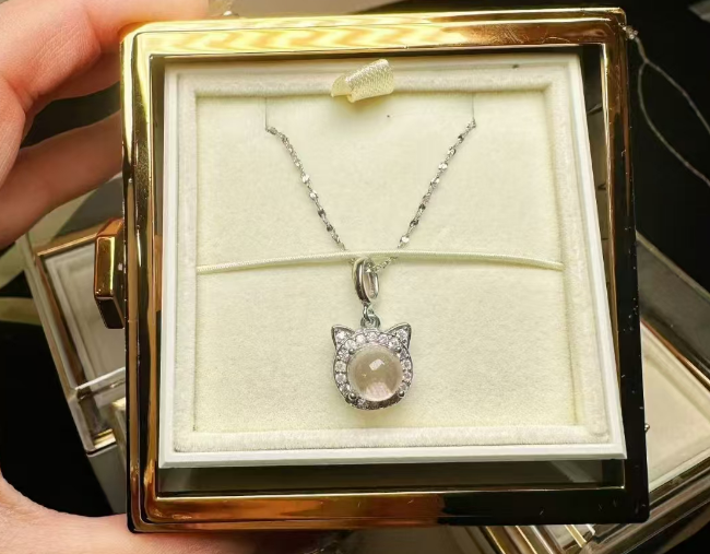 沈河区宠物纪念品制作哪家好